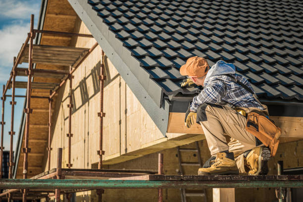 Best Roof Maintenance Services  in Federal Y, WA