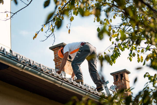 Best Storm Damage Roof Repair  in Federal Y, WA