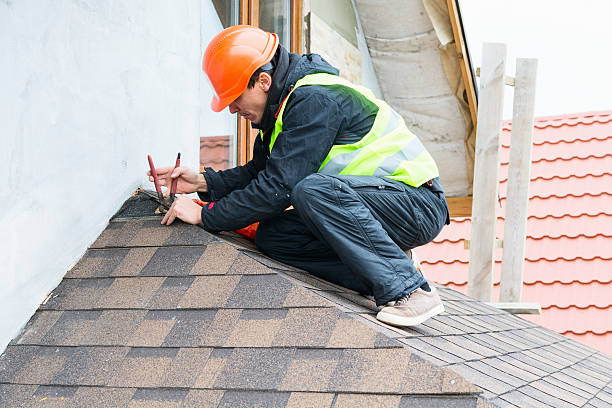 Best Roof Leak Repair  in Federal Y, WA