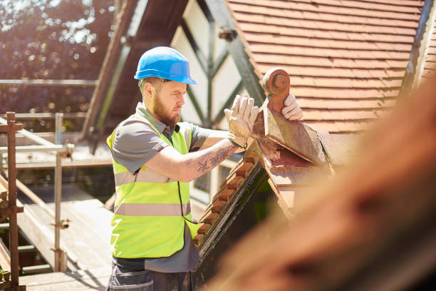 Quick and Trustworthy Emergency Roof Repair Services in Federal Way, WA