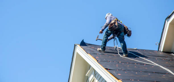 Best Roof Gutter Cleaning  in Federal Y, WA